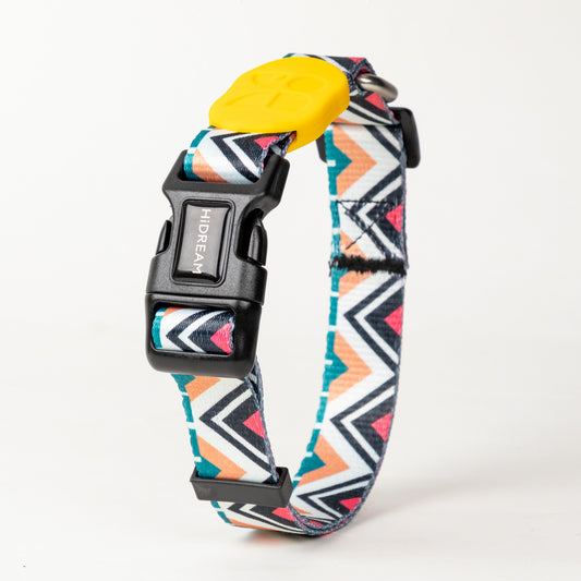 Vibrant Collection Durable Adjustable Dog Collar