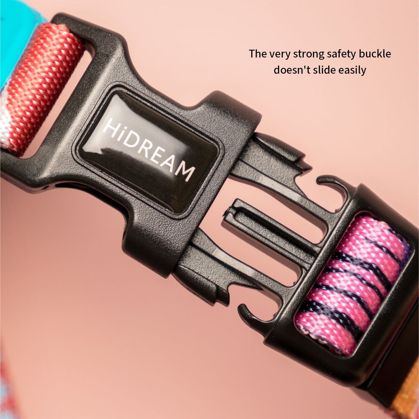 Vibrant Collection Durable Adjustable Dog Collar