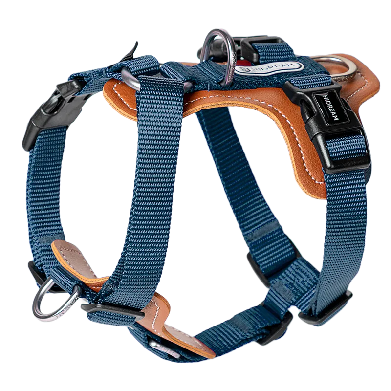H-Shape Harness