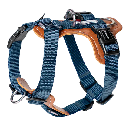 H-Shape Harness