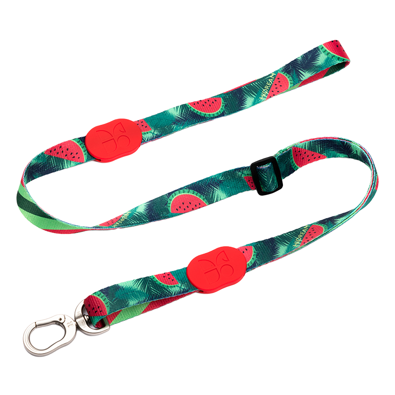 Vibrant Collection Durable Adjustable Dog Leash