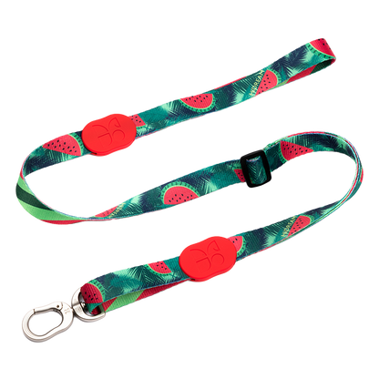 Vibrant Collection Durable Adjustable Dog Leash