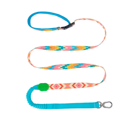 Vibrant PRO Series Multi-Functional Anti-Pull Bungee Dog Leash