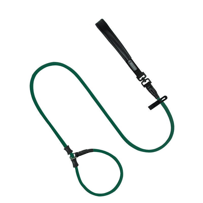 All-in-One Training Dog Leash