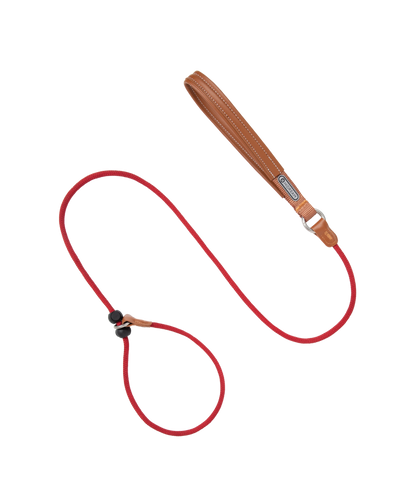Leather Handle All-in-One P-Leash