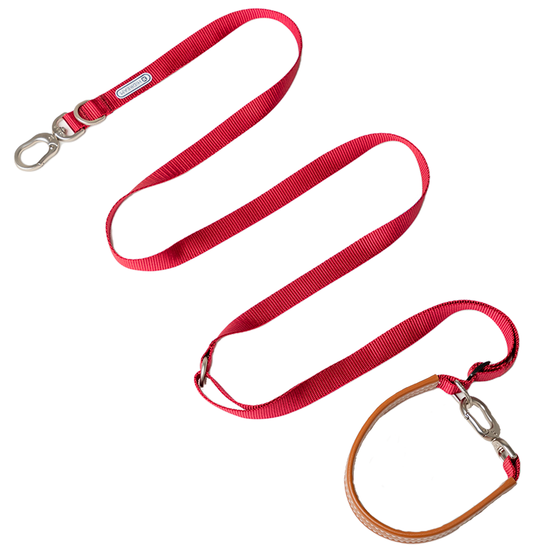 Multi-Functional Leash