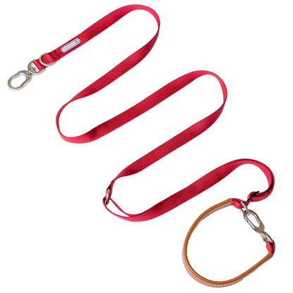 Multi-Functional Leash