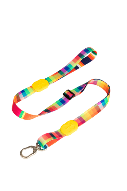 Vibrant Collection Durable Adjustable Dog Leash