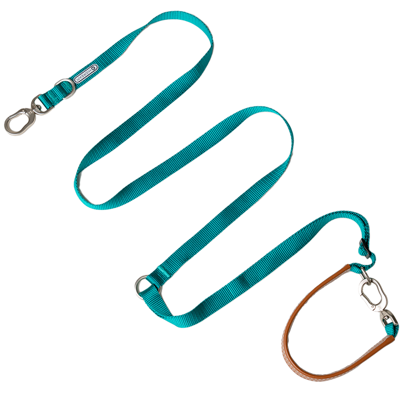 Multi-Functional Leash