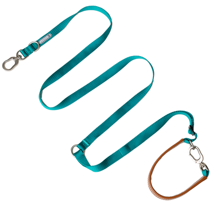 Multi-Functional Leash
