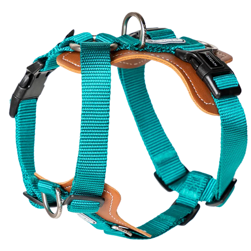H-Shape Harness