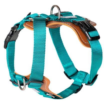 H-Shape Harness