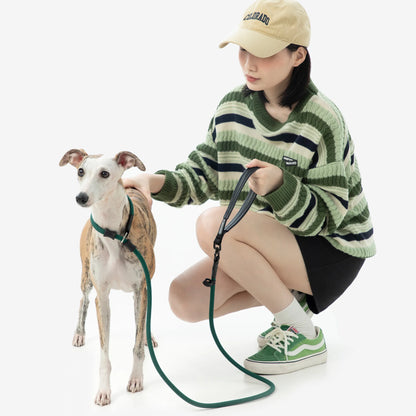 All-in-One Training Dog Leash