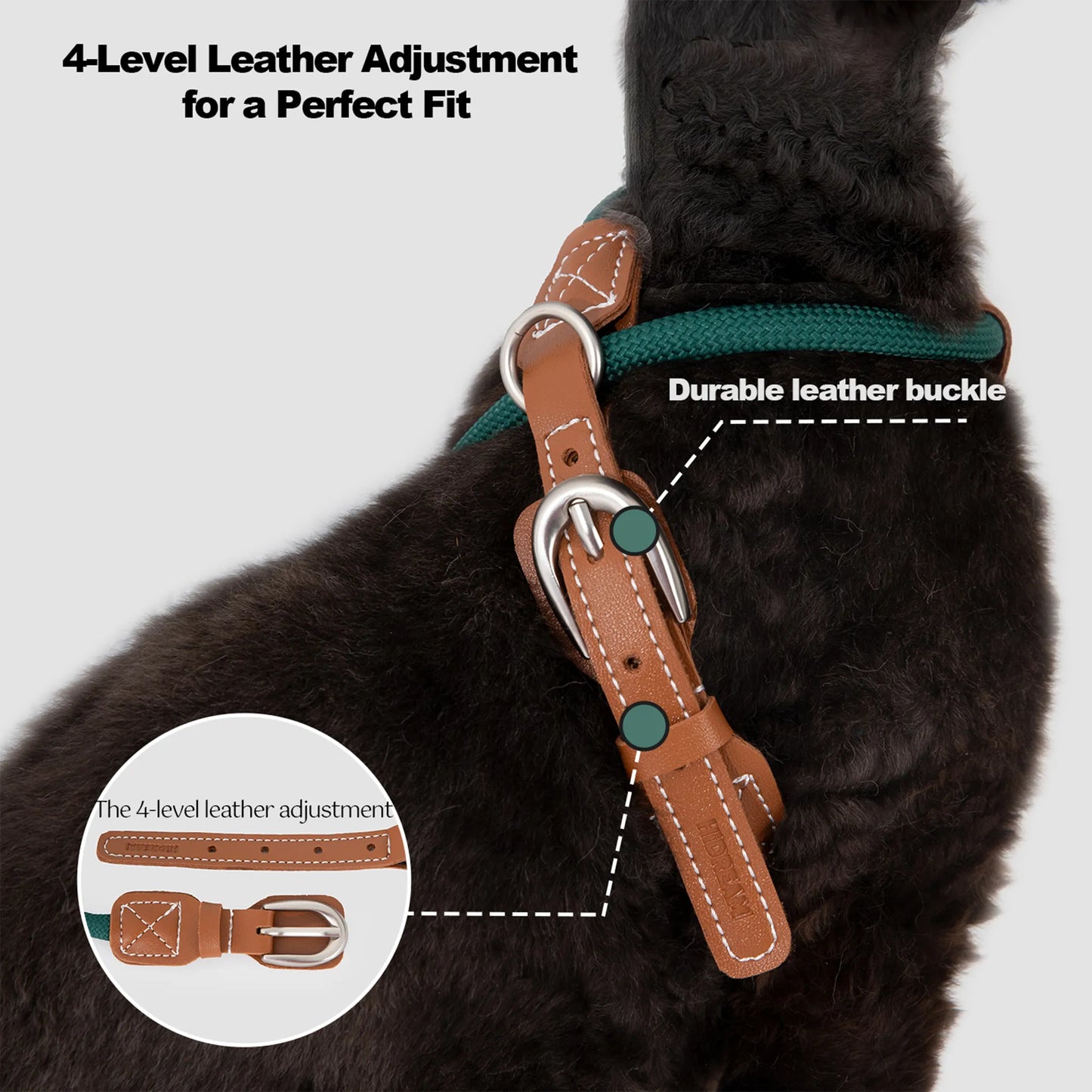Cat Harness & Leash