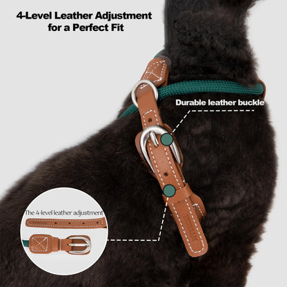 Cat Harness & Leash