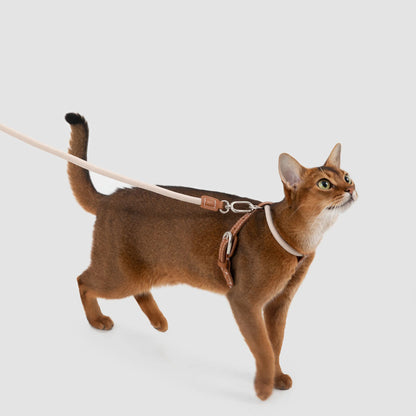 Cat Harness & Leash