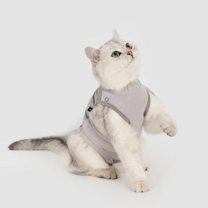 Colorblock Cat Recovery Suit