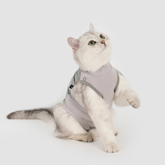 Colorblock Cat Recovery Suit