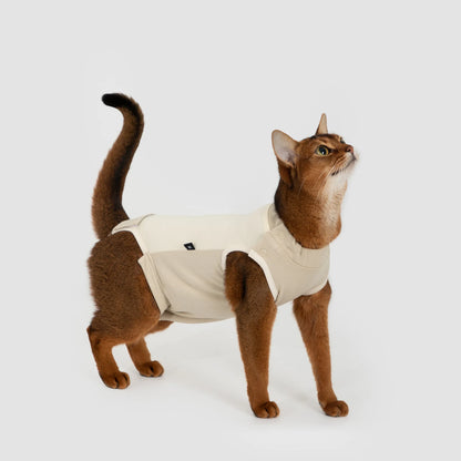 Colorblock Cat Recovery Suit