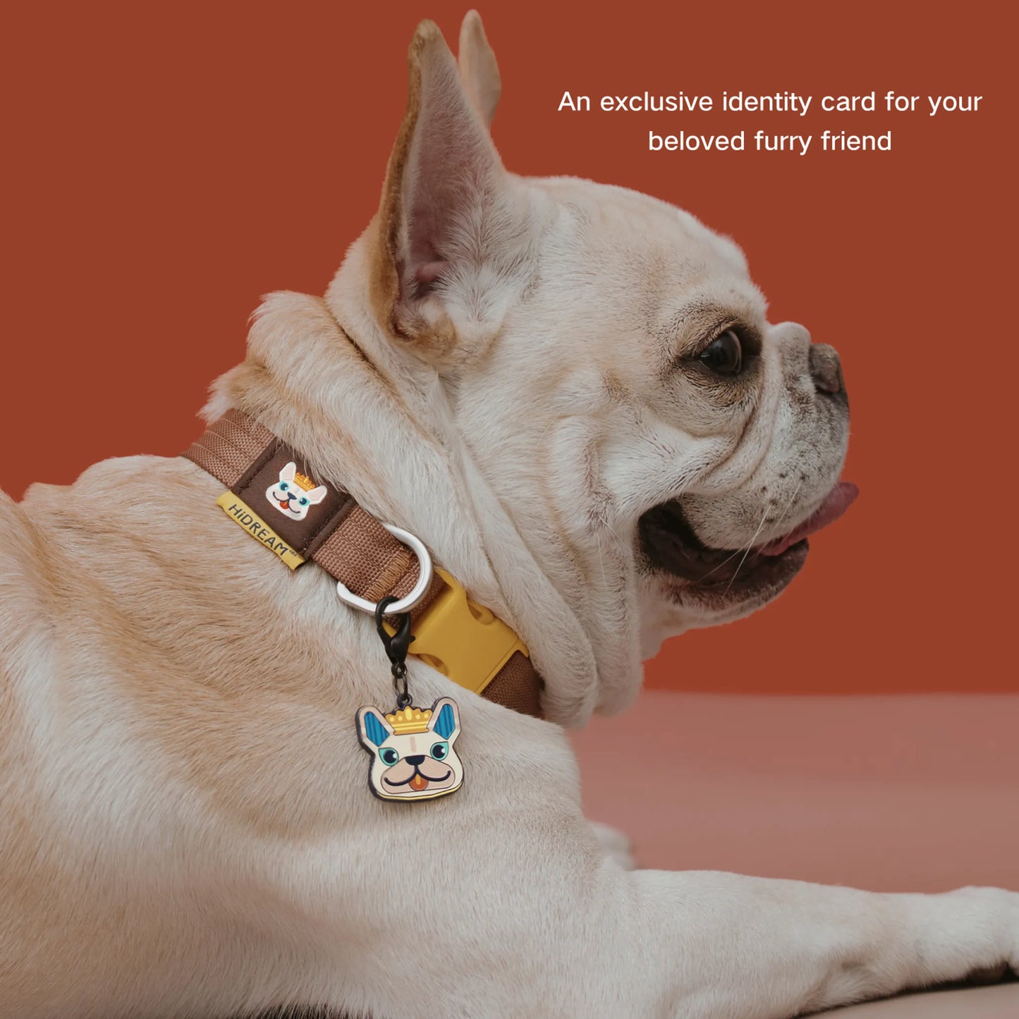 Custom Engraved Pet ID Tag – Original Illustration Design