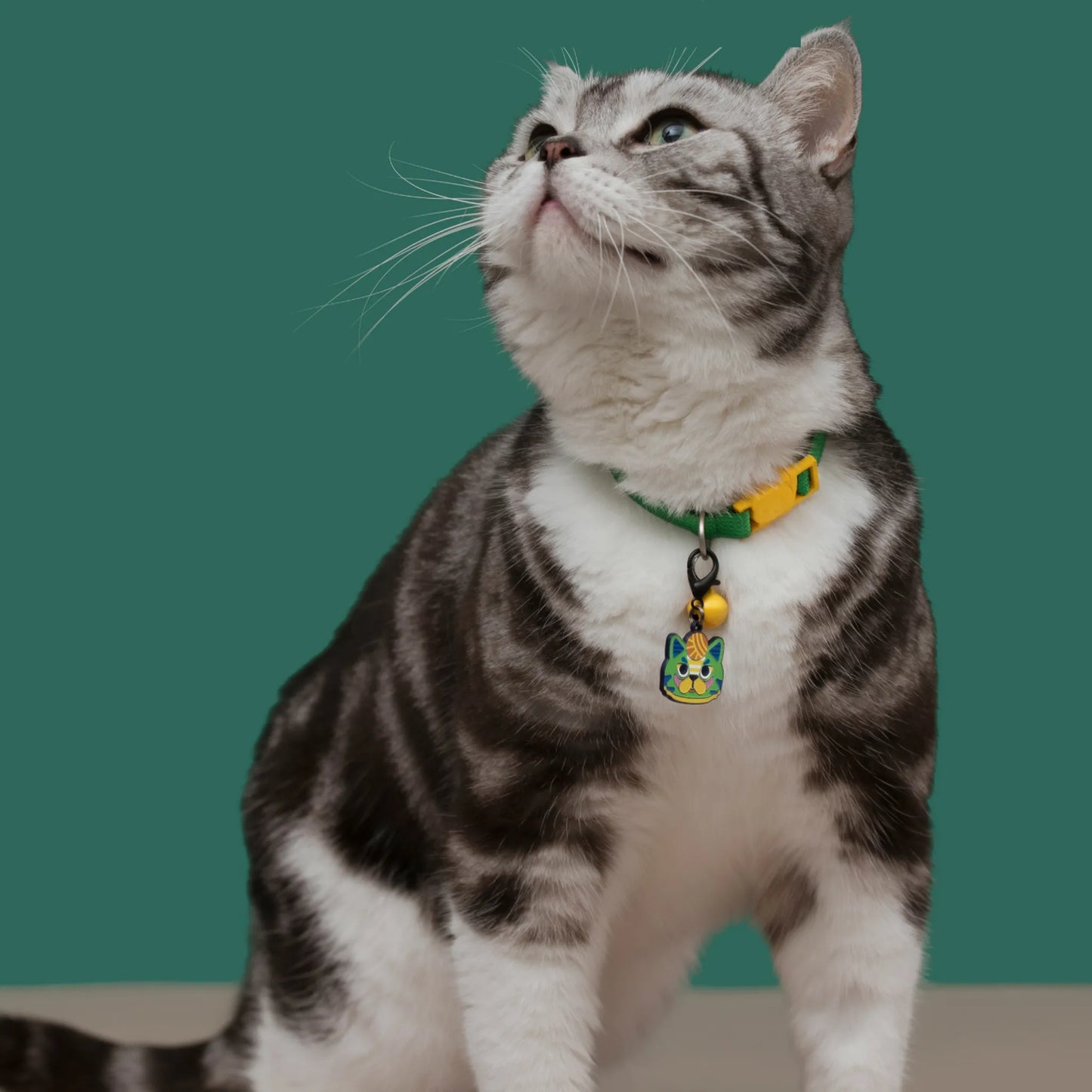 Custom Engraved Pet ID Tag – Original Illustration Design