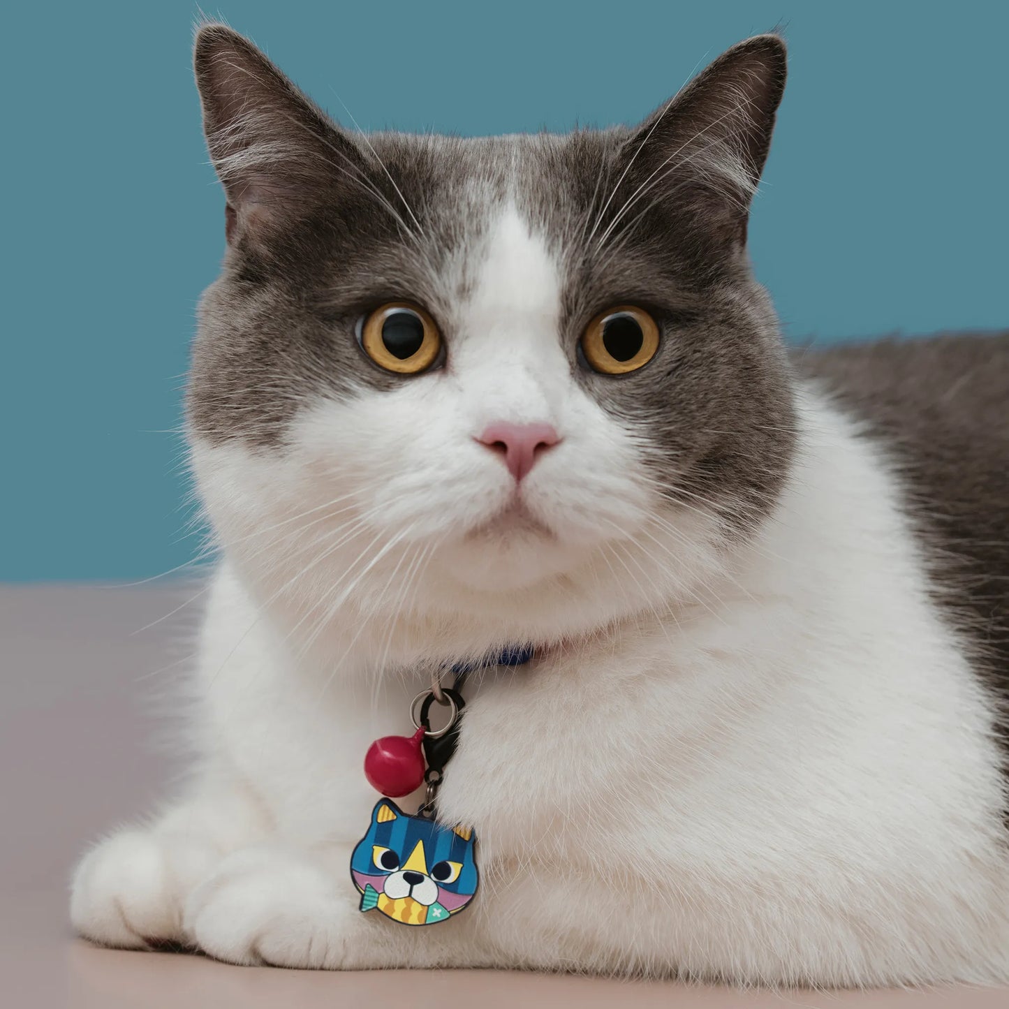 Custom Engraved Pet ID Tag – Original Illustration Design