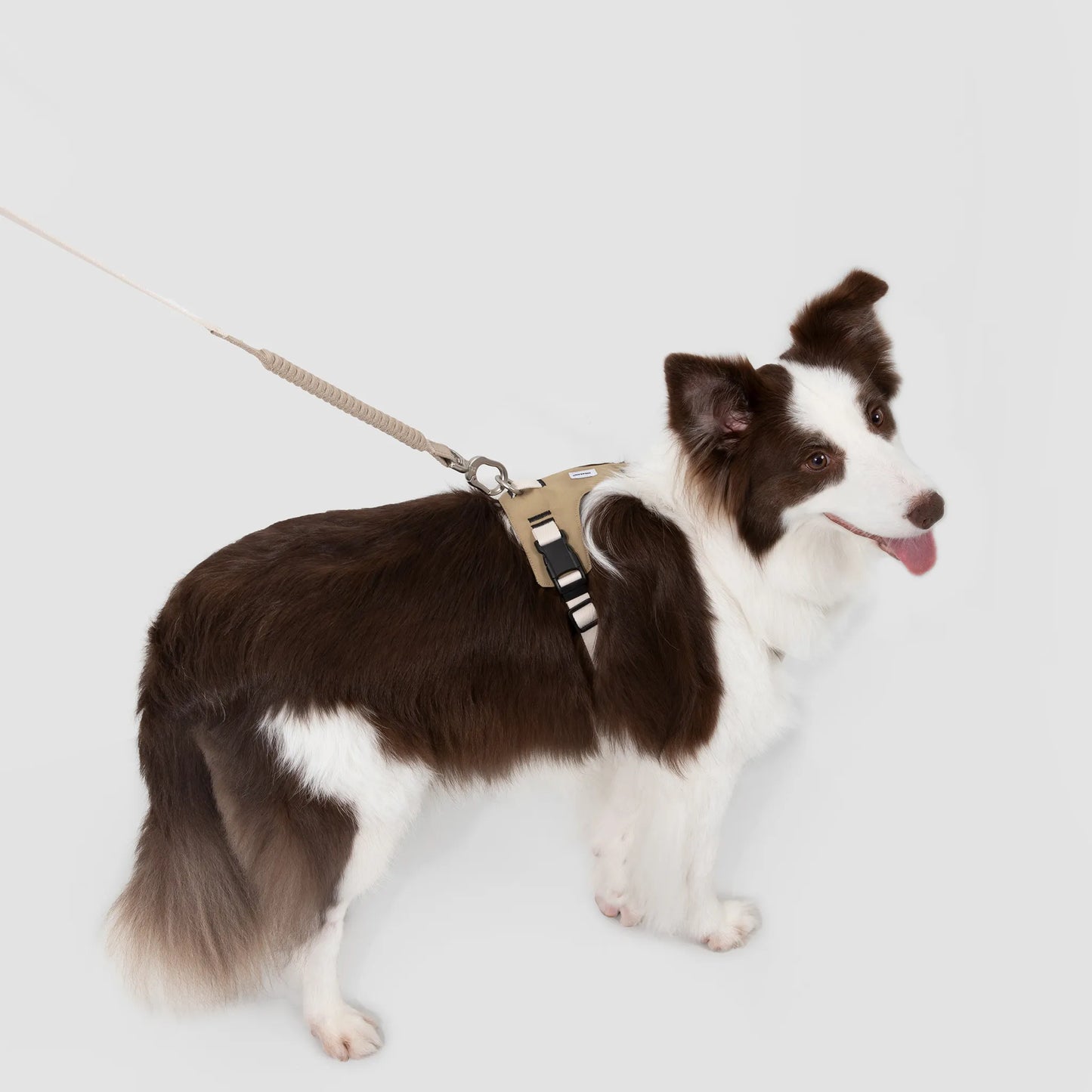 Decompression Sport Dog Harness