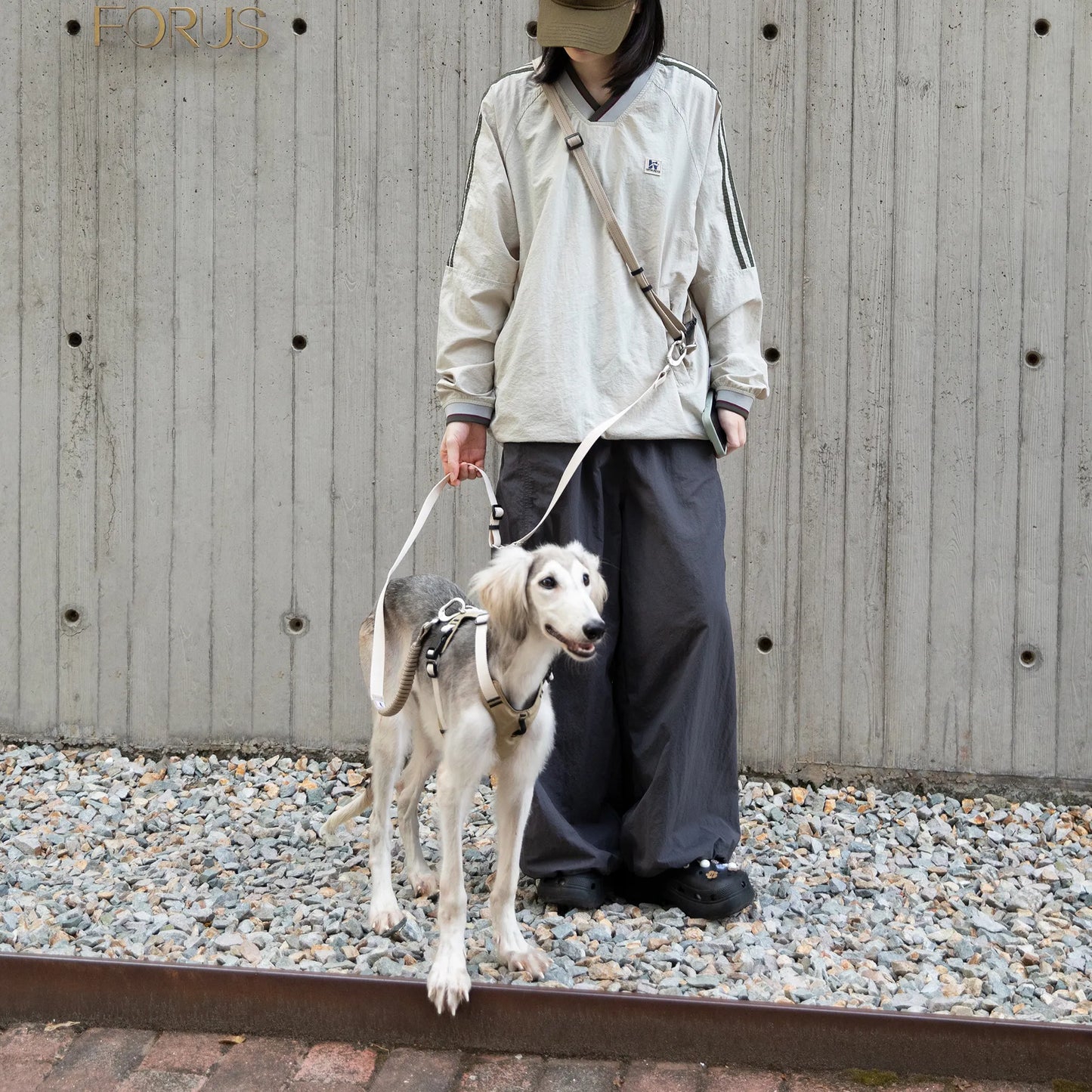 Decompression Sport Dog Harness