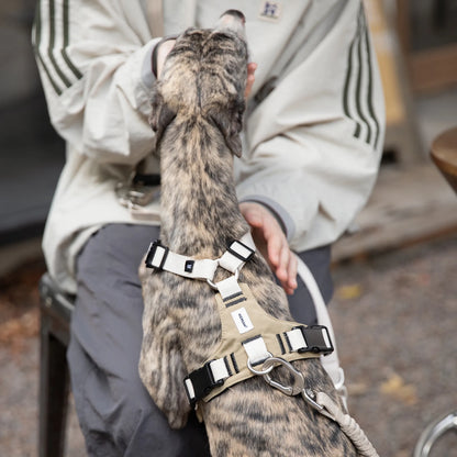 Decompression Sport Dog Harness