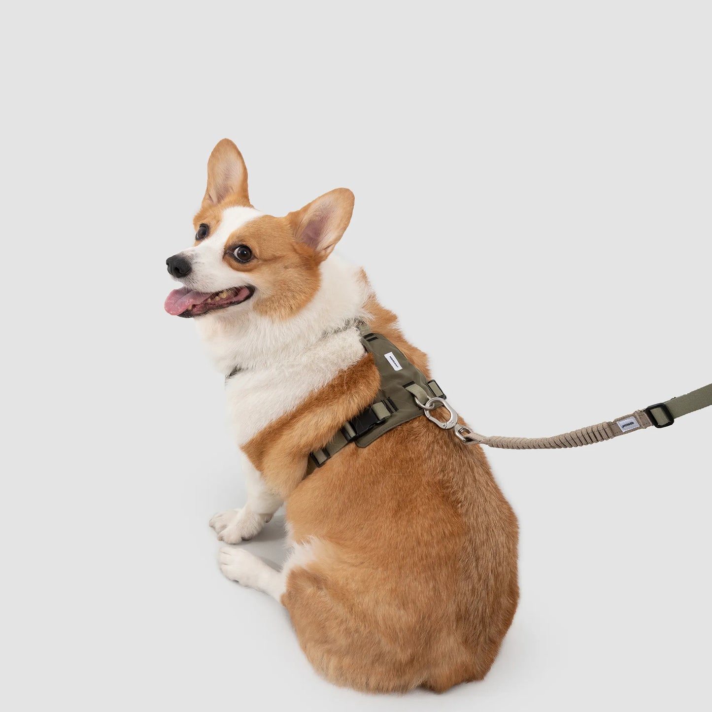 Decompression Sport Dog Harness