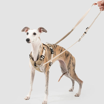 Decompression Sport Dog Harness