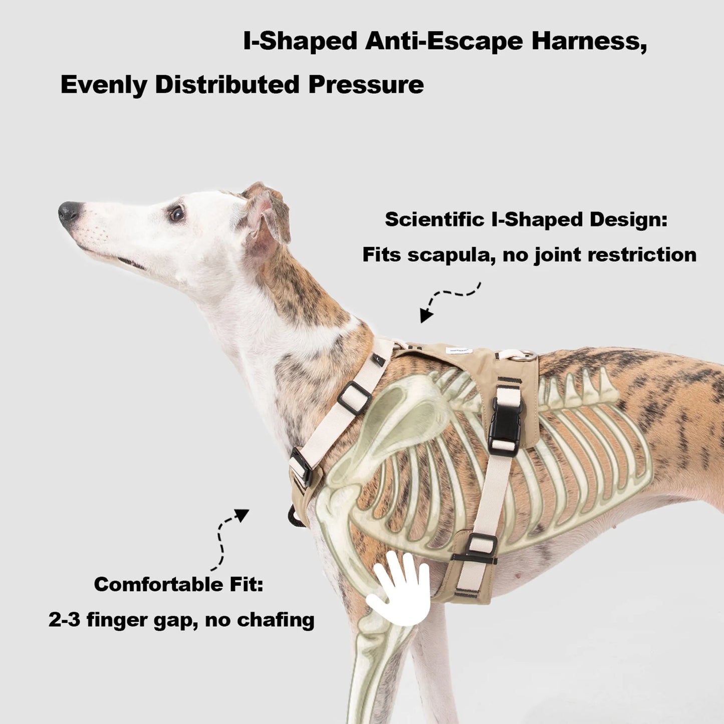 Decompression Sport Dog Harness