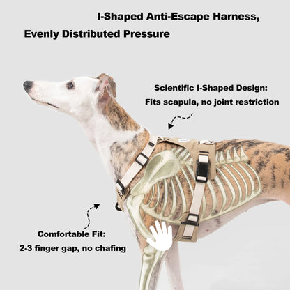 Decompression Sport Dog Harness