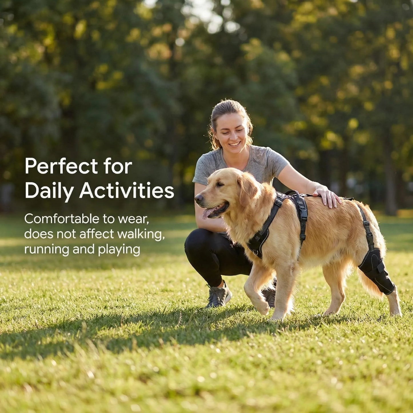 Dog Knee Brace for ACL Recovery – Adjustable Hind Leg Support