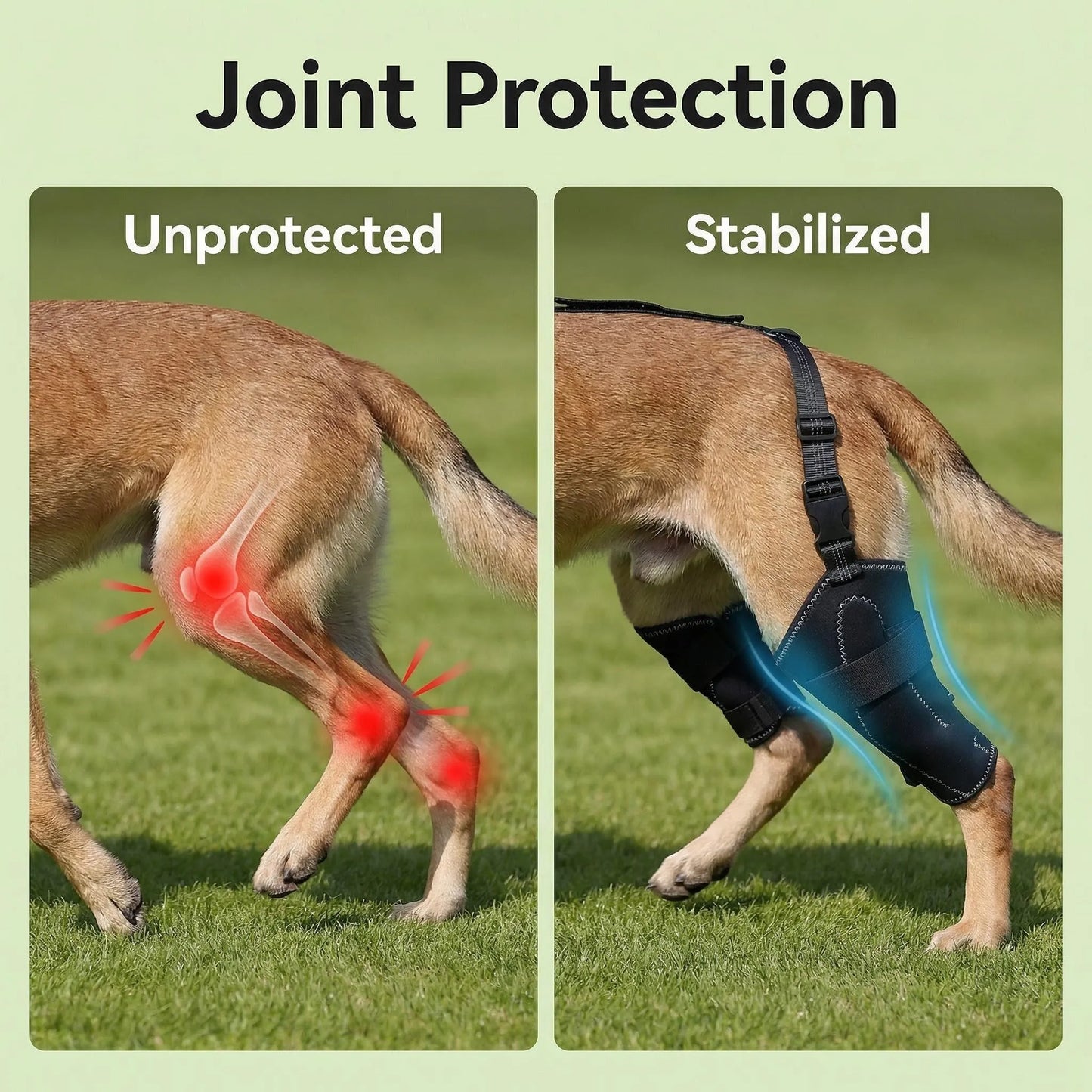 Dog Knee Brace for ACL Recovery – Adjustable Hind Leg Support