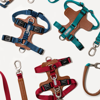 H-Shape Harness