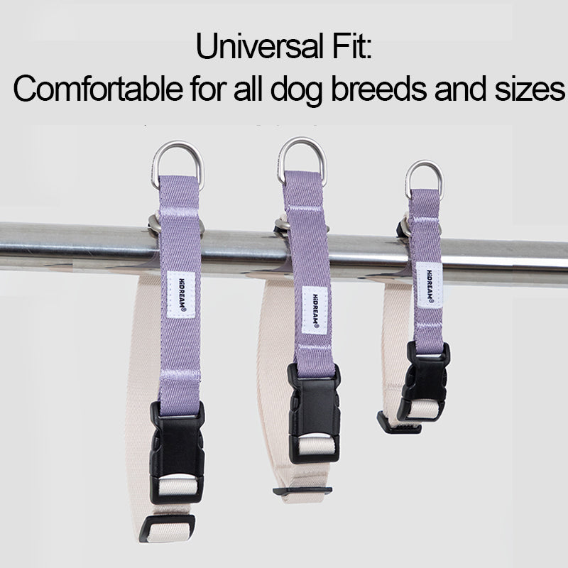 Half-P No-Pull Dog Collar