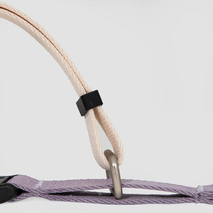 Half-P No-Pull Dog Collar