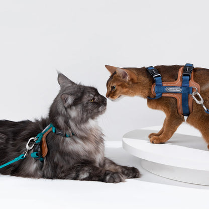 Leather Cat Harness & Leash Set