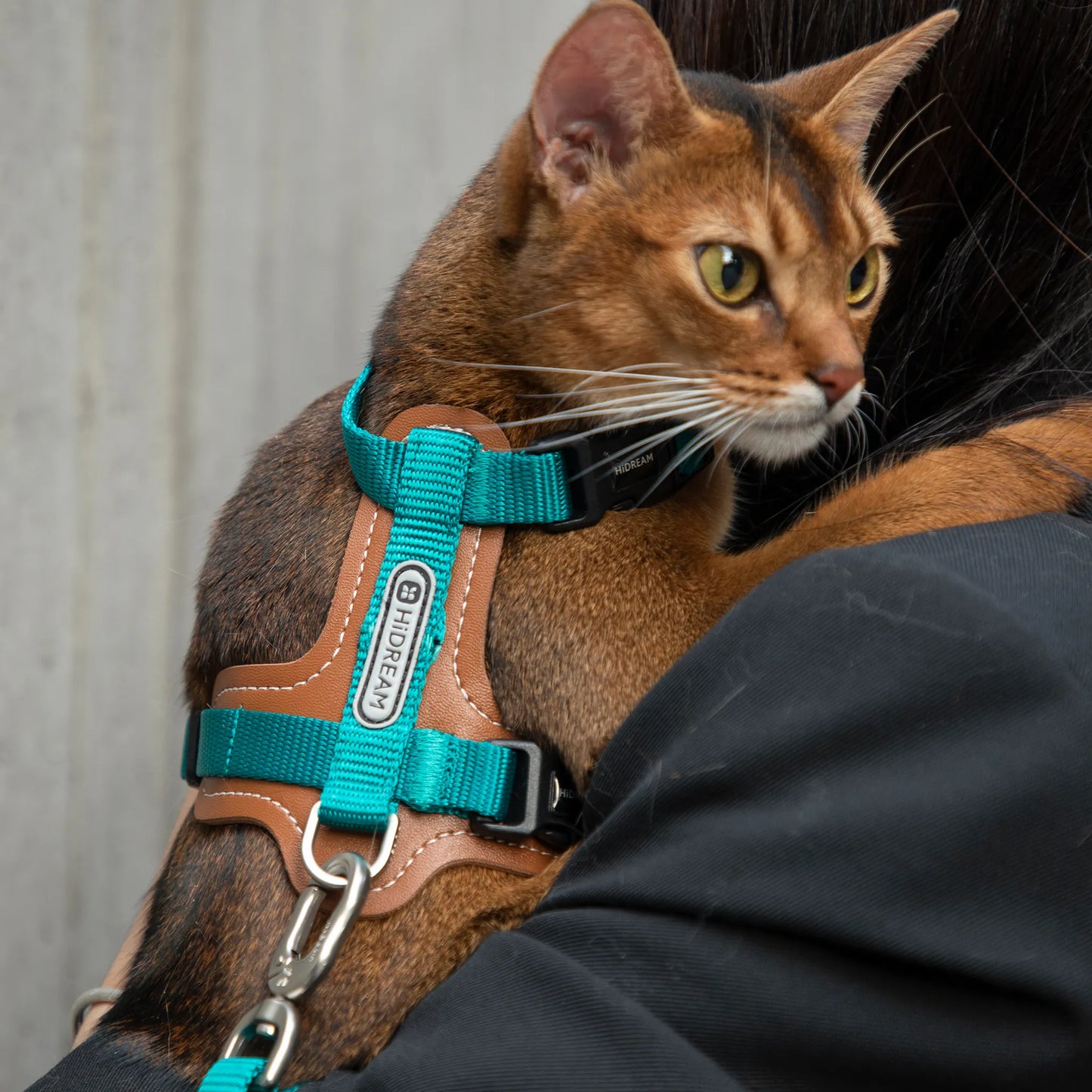 Leather Cat Harness & Leash Set