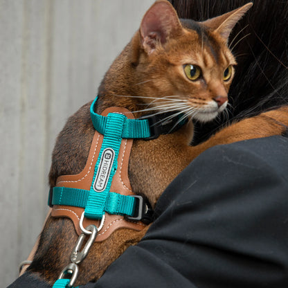 Leather Cat Harness & Leash Set
