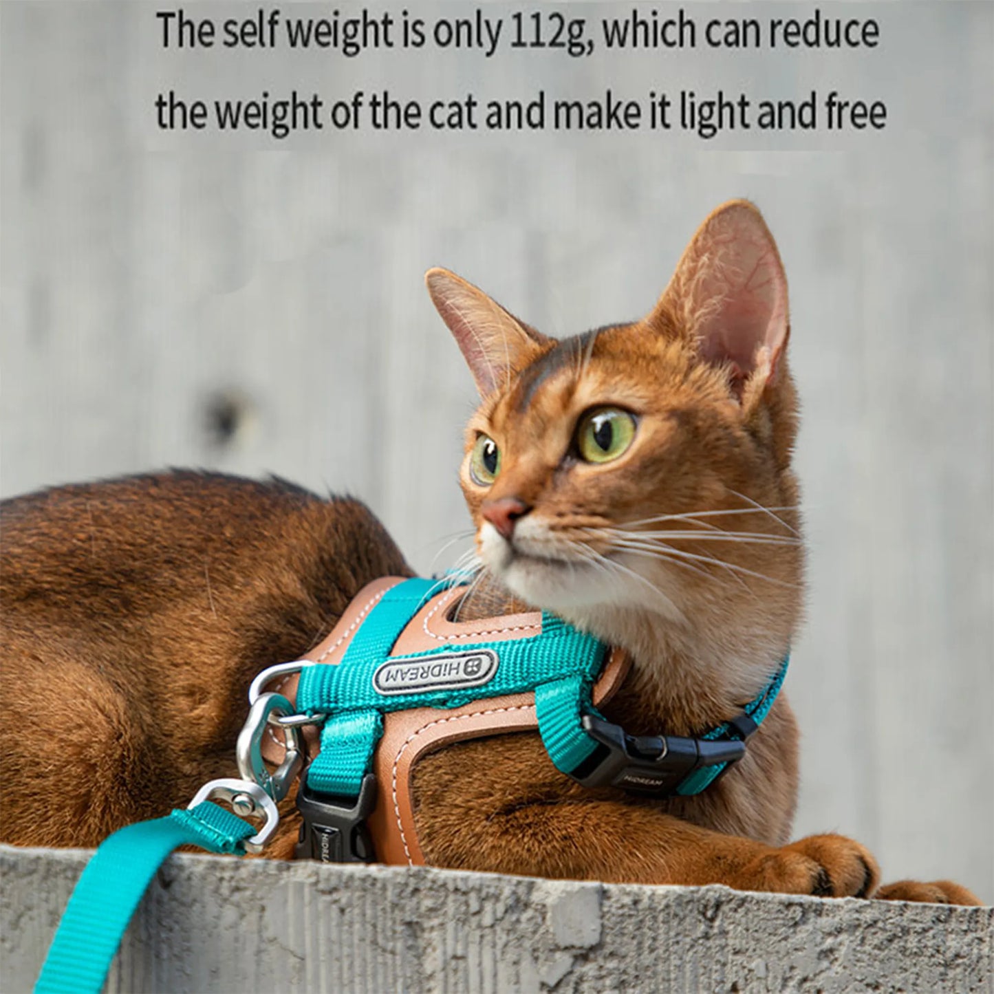 Leather Cat Harness & Leash Set