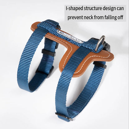 Leather Cat Harness & Leash Set