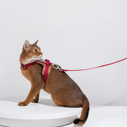 Leather Cat Harness & Leash Set