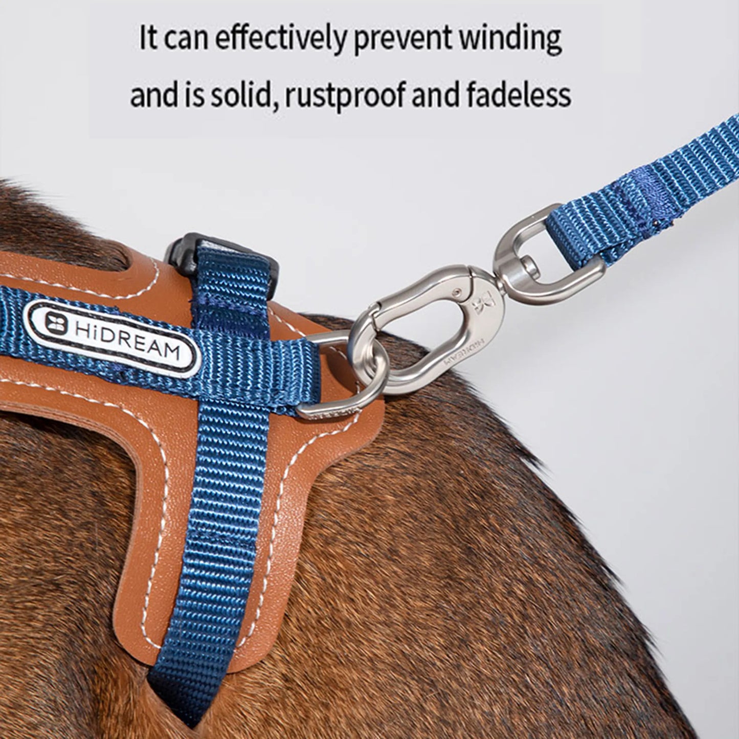 Leather Cat Harness & Leash Set