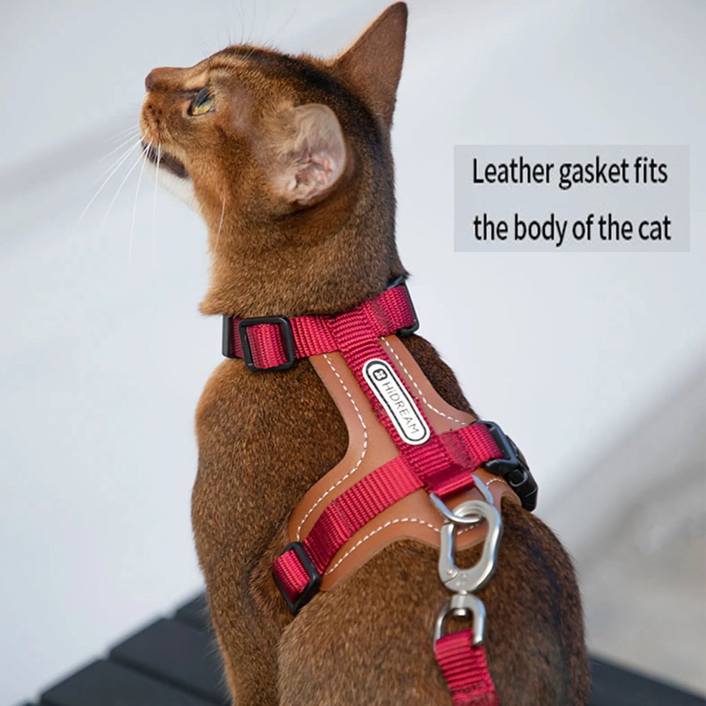 Leather Cat Harness & Leash Set