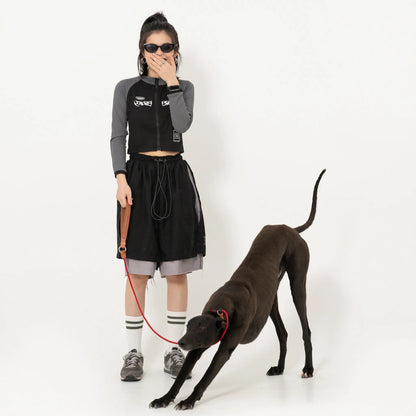 Leather Handle All-in-One P-Leash