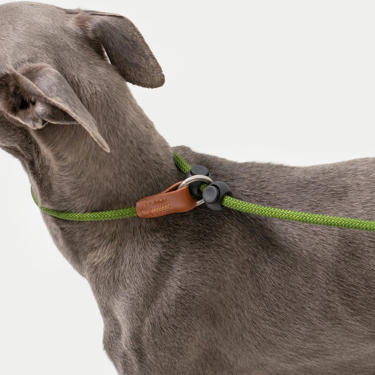 Leather Handle All-in-One P-Leash