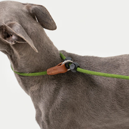 Leather Handle All-in-One P-Leash