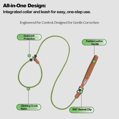 Leather Handle All-in-One P-Leash